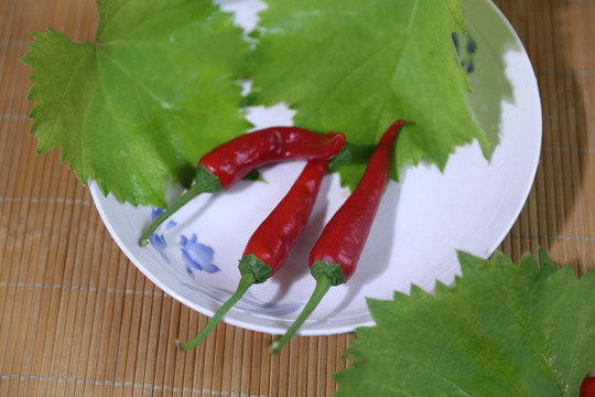 辣椒