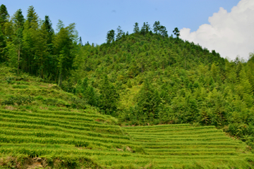 山区风光