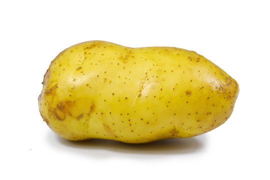黄皮土豆