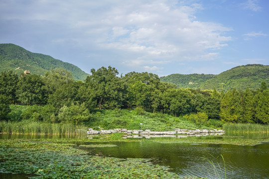 北京植物园