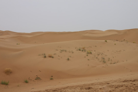 沙坡头沙漠