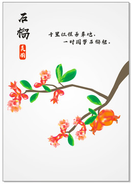 石榴花