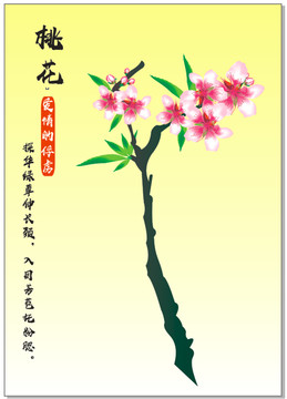 桃花