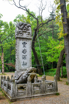 灵谷寺九龙碑