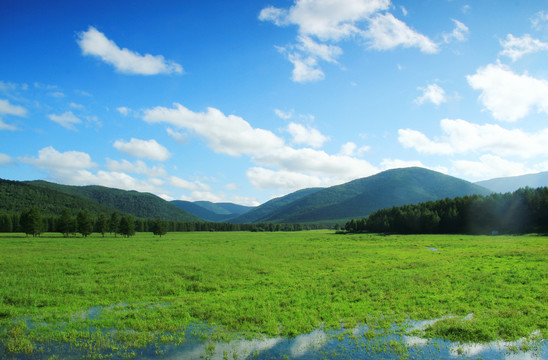 阿尔山草原风光