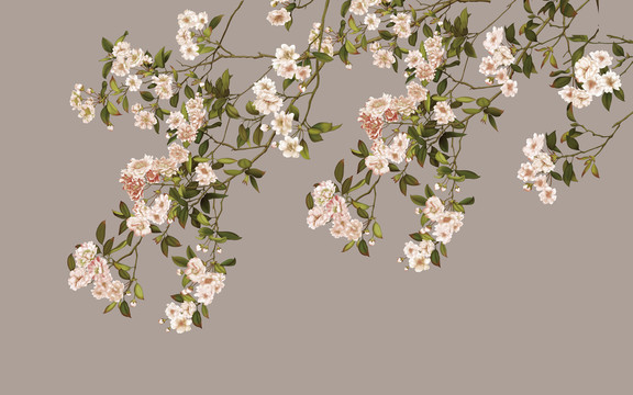 花鸟