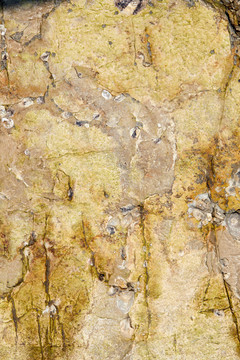 天然岩石纹理12