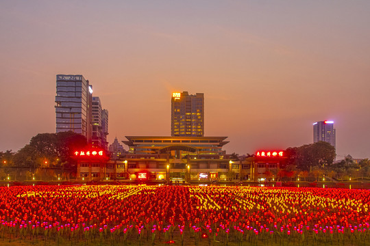 佛山金融博物馆夜景