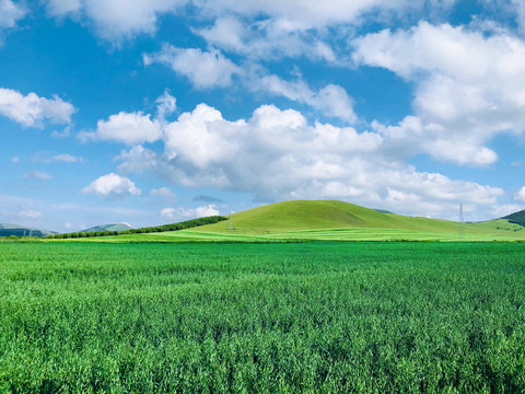 草原风光美景