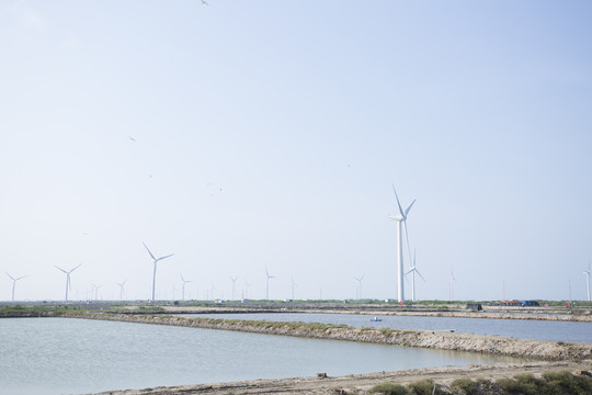 江苏沿海的风力发电机