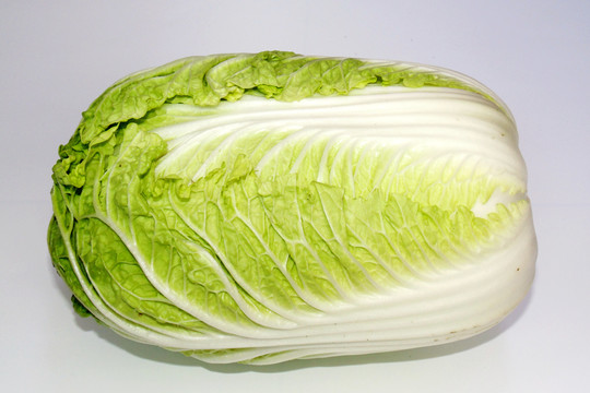 大白菜
