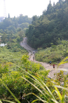 登山赛