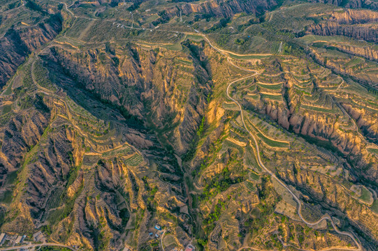 黄土高坡