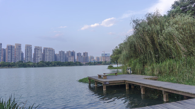 月湖公园湖畔风景