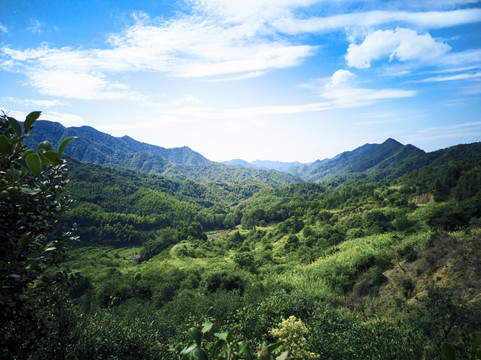 江西莲花山国家森林公园中湾村