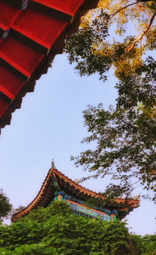 仰视中国古建筑的屋檐