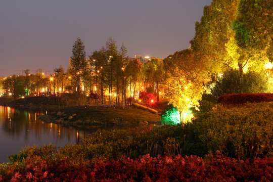 龙池湖夜景