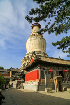 忻州五台山塔院寺白塔