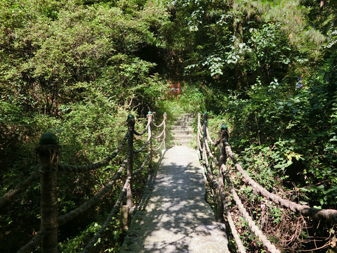 未名桥
