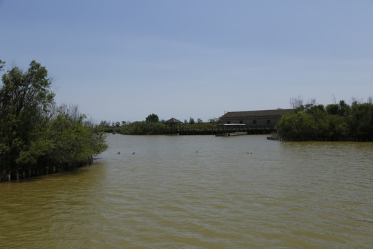 黄河三角洲湿地公园
