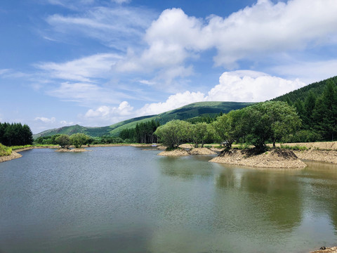 美丽草原的夏季风景
