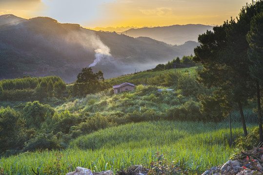 唯美风景