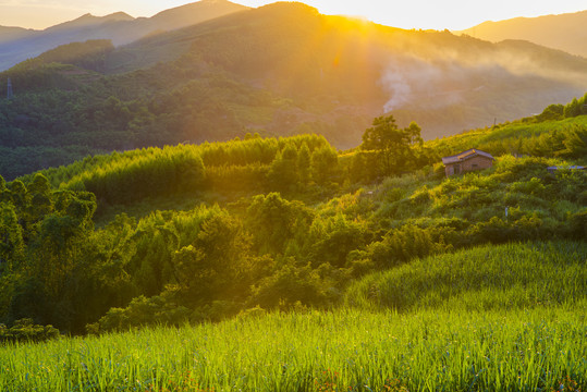 唯美风景