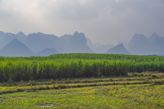 乡村美景