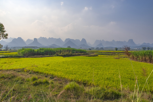 农田风景