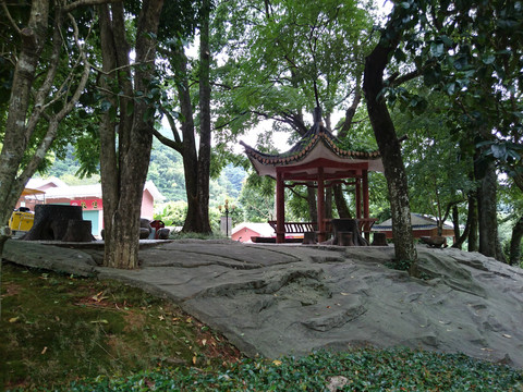 林间凉亭