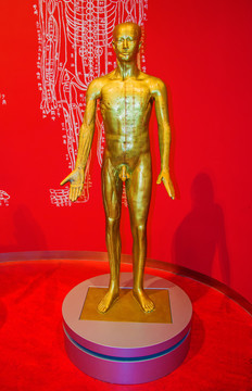 人体经络周身分布正面铜雕像