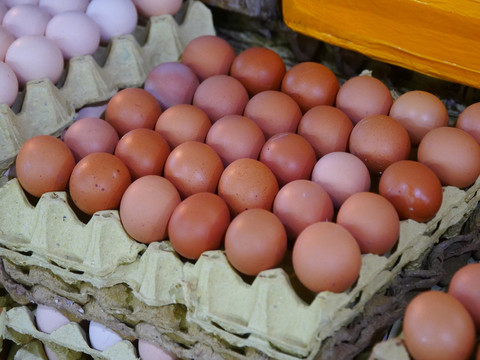 养鸡场农家土鸡蛋有机绿色鸡蛋