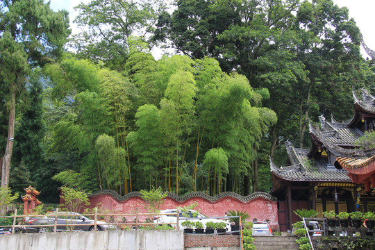 云峰寺斑竹林