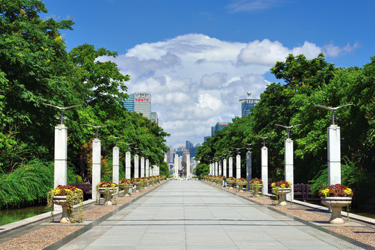 浦东世纪公园绿色景观大道