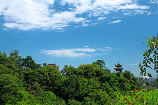 都江堰远眺