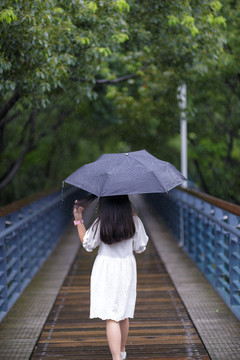 雨中女孩背影