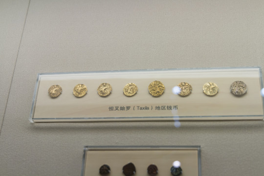 上海博物馆怛叉始罗地区钱币