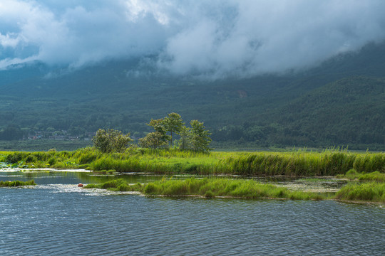 北海湿地公园