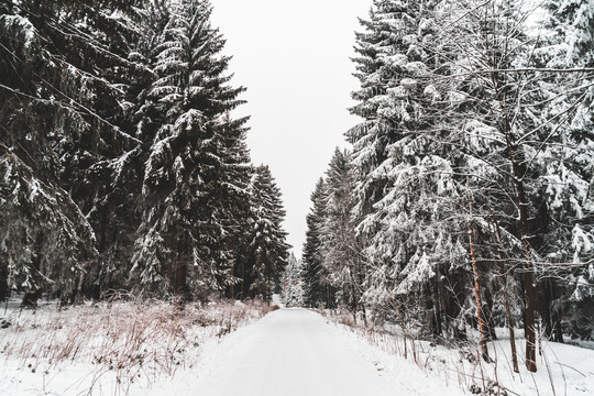 下过雪的路