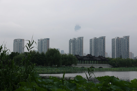 沙湖公园风景