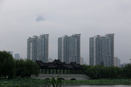 沙湖公园风景