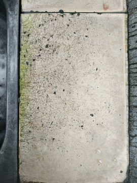 水泡