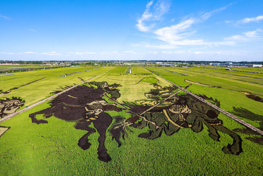 银川贺兰县稻渔空间