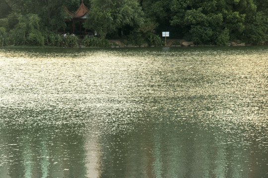 湖面水纹