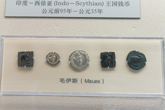 上海博物馆毛伊斯钱币