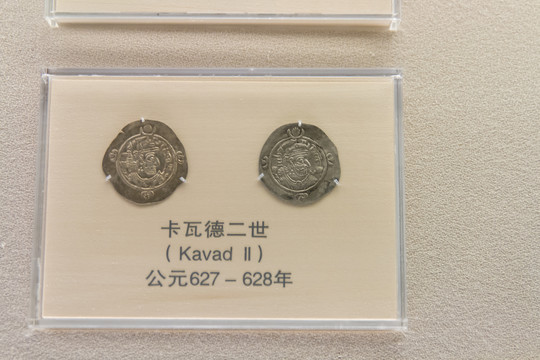 上海博物馆卡瓦德二世货币
