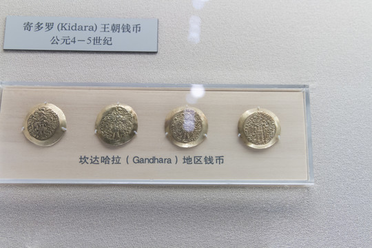 上海博物馆坎达哈拉地区钱币