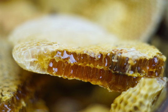 纯天然野生蜂盘蜂蜜