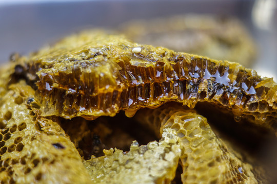 纯天然野生蜂盘蜂蜜