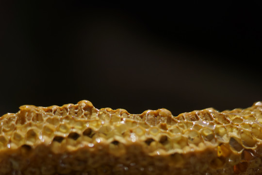 纯天然野生蜂盘蜂蜜